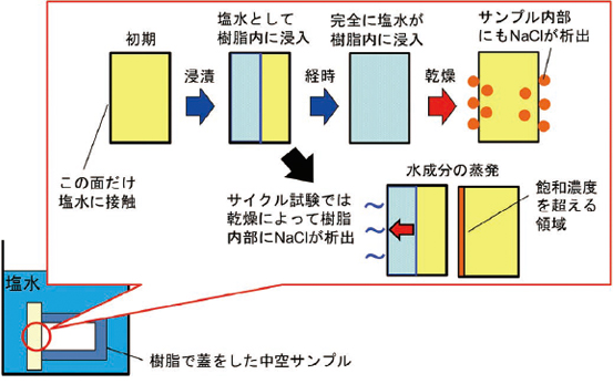 図9 塩水浸入挙動
