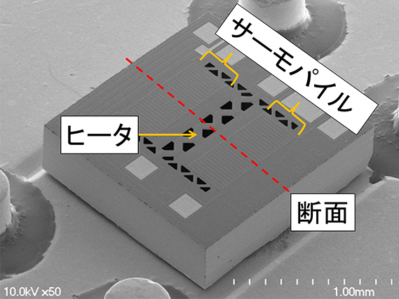 図1　センサチップ外観