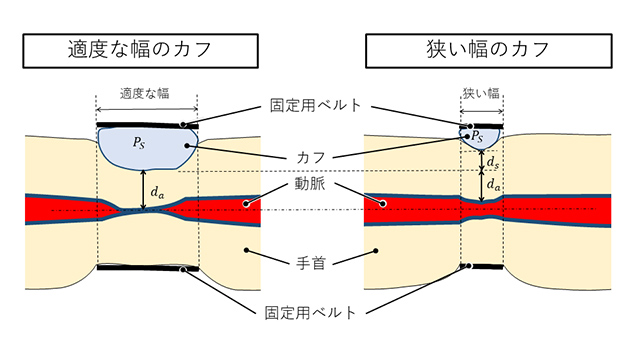 図2 カフ幅のカフ内圧への影響