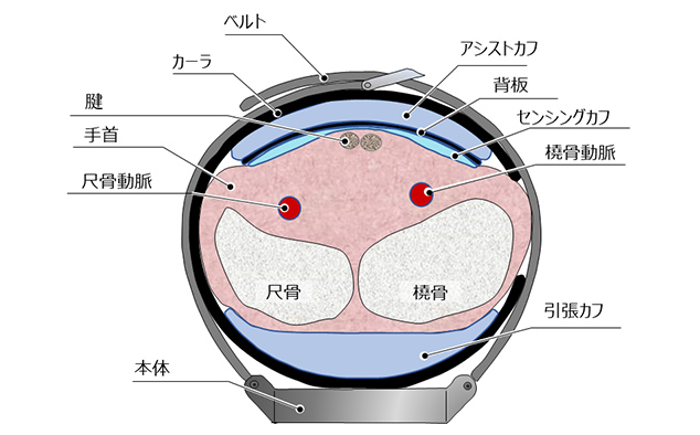 図6 カフ構造の断面図